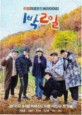 冷门题材片单 配图